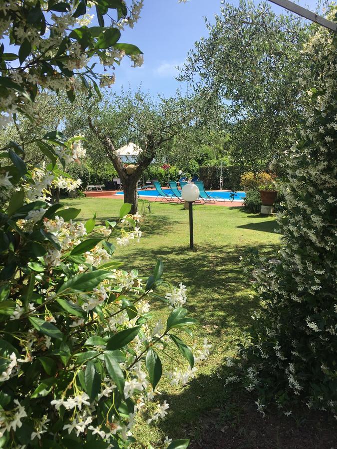 Il Portico Bed & Breakfast Sarzana